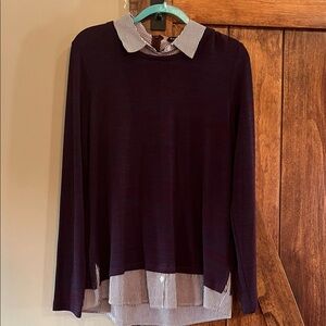 Sharagano Purple Blouse with Striped Collar